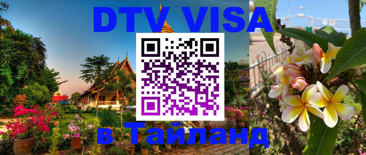 Оформление DTV визы под ключ: стоимость и тарифы, только загранпаспорт - 20.11.2025 